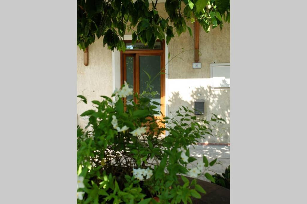 La Casina Di Bruna Mommio Exterior foto